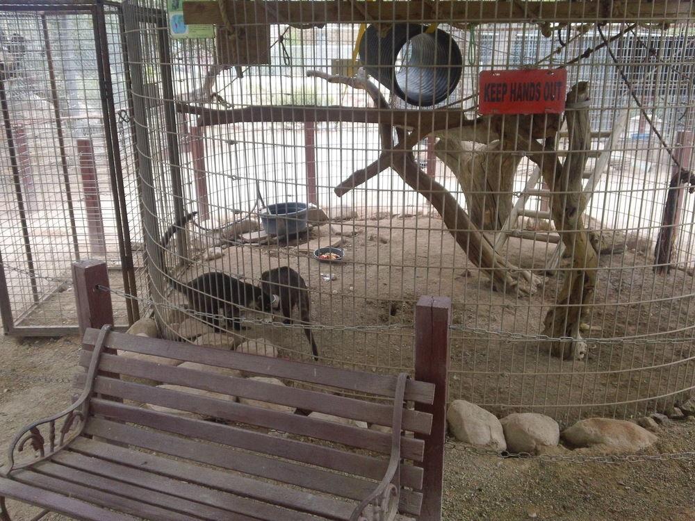 Bonnie Springs Ranch Motel Blue Diamond 外观 照片