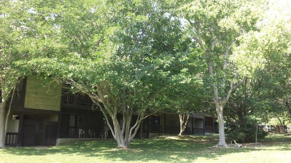 Bonnie Springs Ranch Motel Blue Diamond 外观 照片