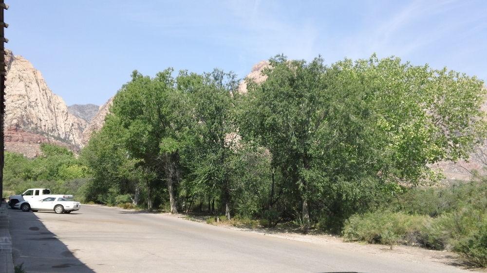 Bonnie Springs Ranch Motel Blue Diamond 外观 照片