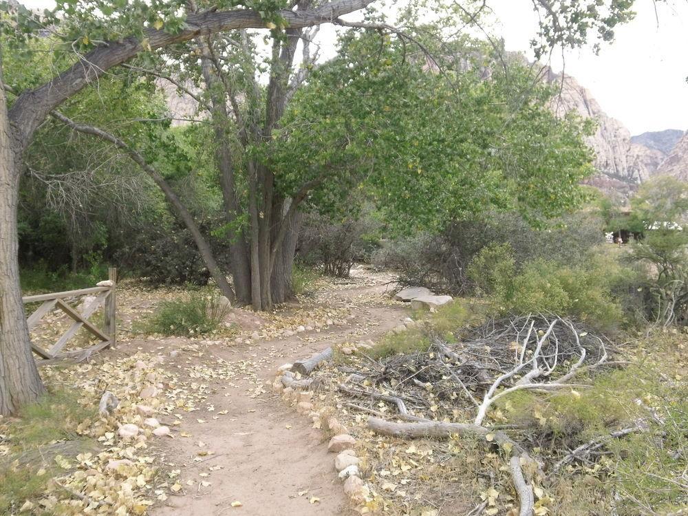 Bonnie Springs Ranch Motel Blue Diamond 外观 照片